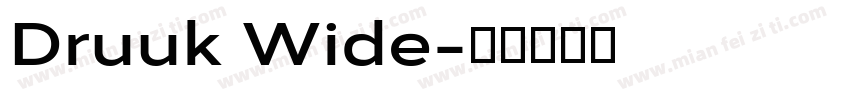 Druuk Wide字体转换